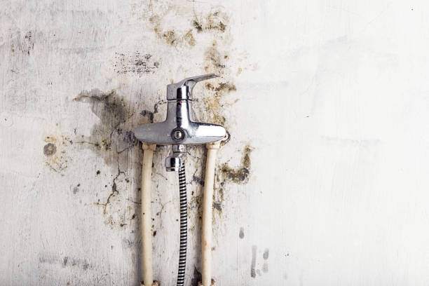 Best Residential Mold Removal  in Porterville, CA
