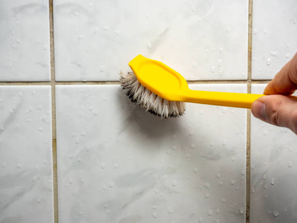 Best Same-Day Mold Removal  in Porterville, CA