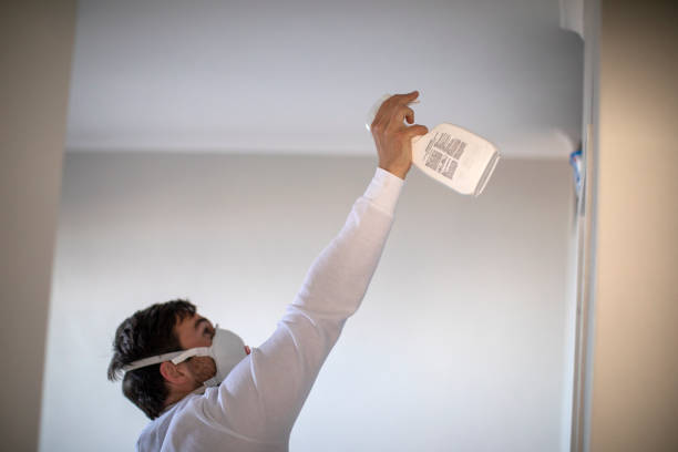  Porterville, CA Mold Removal Pros