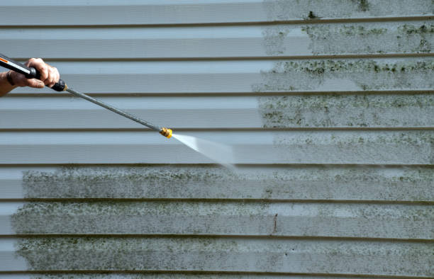 Best Certified Mold Removal  in Porterville, CA