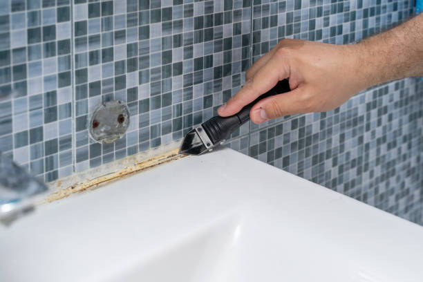 Mold Removal and Inspection in Porterville, CA