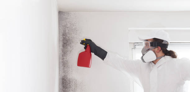 Best Mold Testing  in Porterville, CA