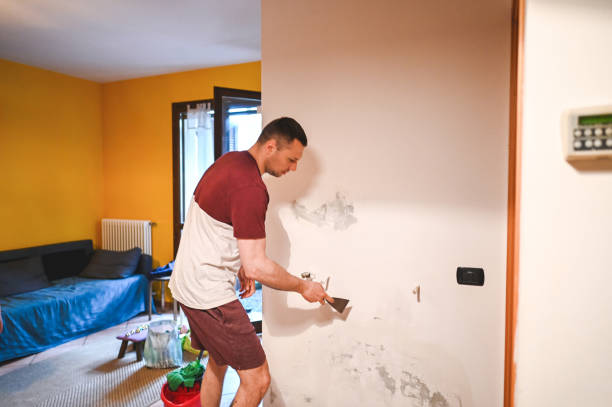 Best Mold Removal Company Near Me  in Porterville, CA