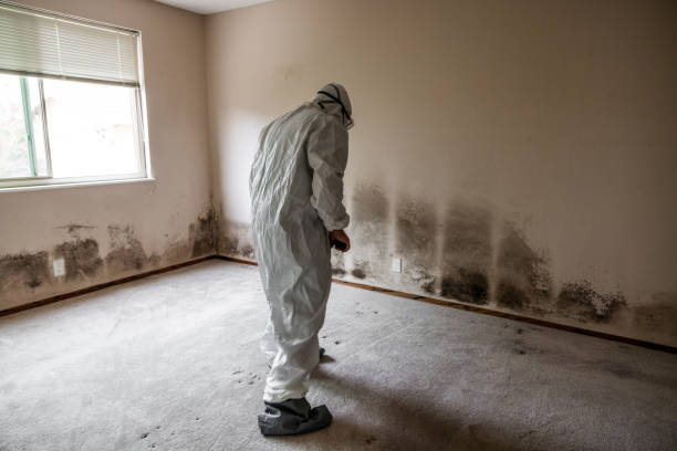 Best Mold Testing  in Porterville, CA