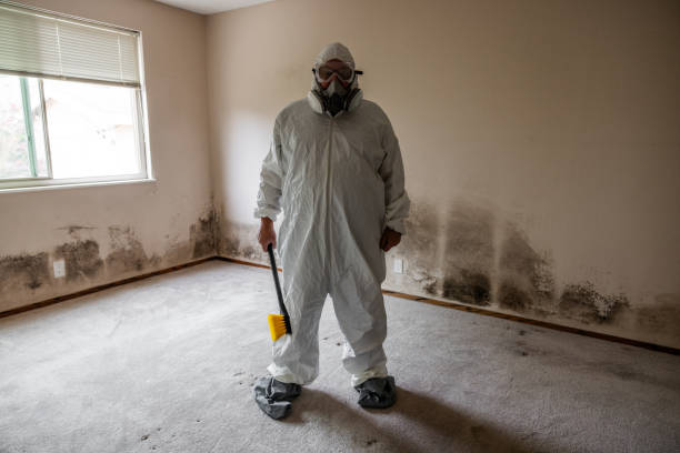 Best Mold Cleaning Services  in Porterville, CA