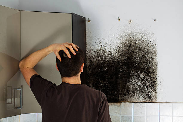 Best Office Mold Removal Services  in Porterville, CA